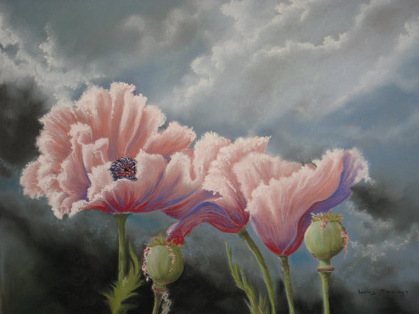 Storm Poppies